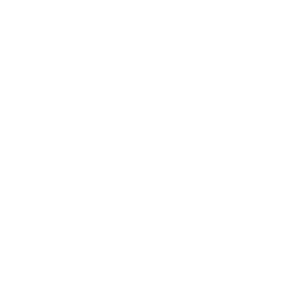 Amni Logo