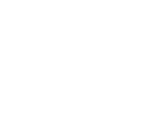 Hanwha Ocean Logo